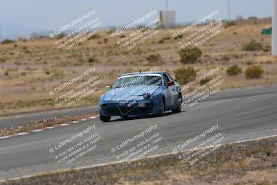 media/May-03-2025-Lucky Dog Racing (Sat) [[206de64b9d]]/Turn 6 (150pm-230pm)/